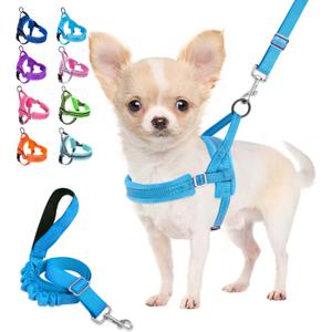 Lukovee Dog Harness and Leash Set, Soft Padded Small Dog Harness, Neck & Chest Adjustable Reflective Vest Puppy Harness with 4ft Lightweight Anti-Twist Dog Leash for Small Dogs (Light Blue, X-Small)