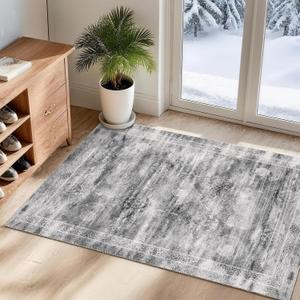 2x3 Small Area Rug for Front Door, Indoor Entrance, Washable Low-Pile Non-Slip Carpet, Durable Rug for Bathroom, Bedroom, Bedside, Kitchen, Grey