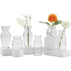 Small Vases for Flowers, Set of 6 Glass Vases for Centerpieces, Clear Vases for Centerpieces, Mini Vases for Flowers, Small Flower Vases for Wedding, Table Decoration, Home
