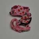 PUPTECK No Pull Dog Harness and Leash Set Reflective No Choke Step in Puppy Halter for XS Small and Medium Sized Dogs, Pink, Printed Fabric, S