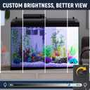 LED Aquarium Hood, Colored Lights, Fits 24" Framed Aquariums, Black