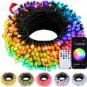 Echosari Christmas Lights 33Ft RGB Color Changing IC, 100 LED Smart String Light With App Control, Music Sync Wreath Lights For Yard Garden Tree Decor (Dark Green Cable)