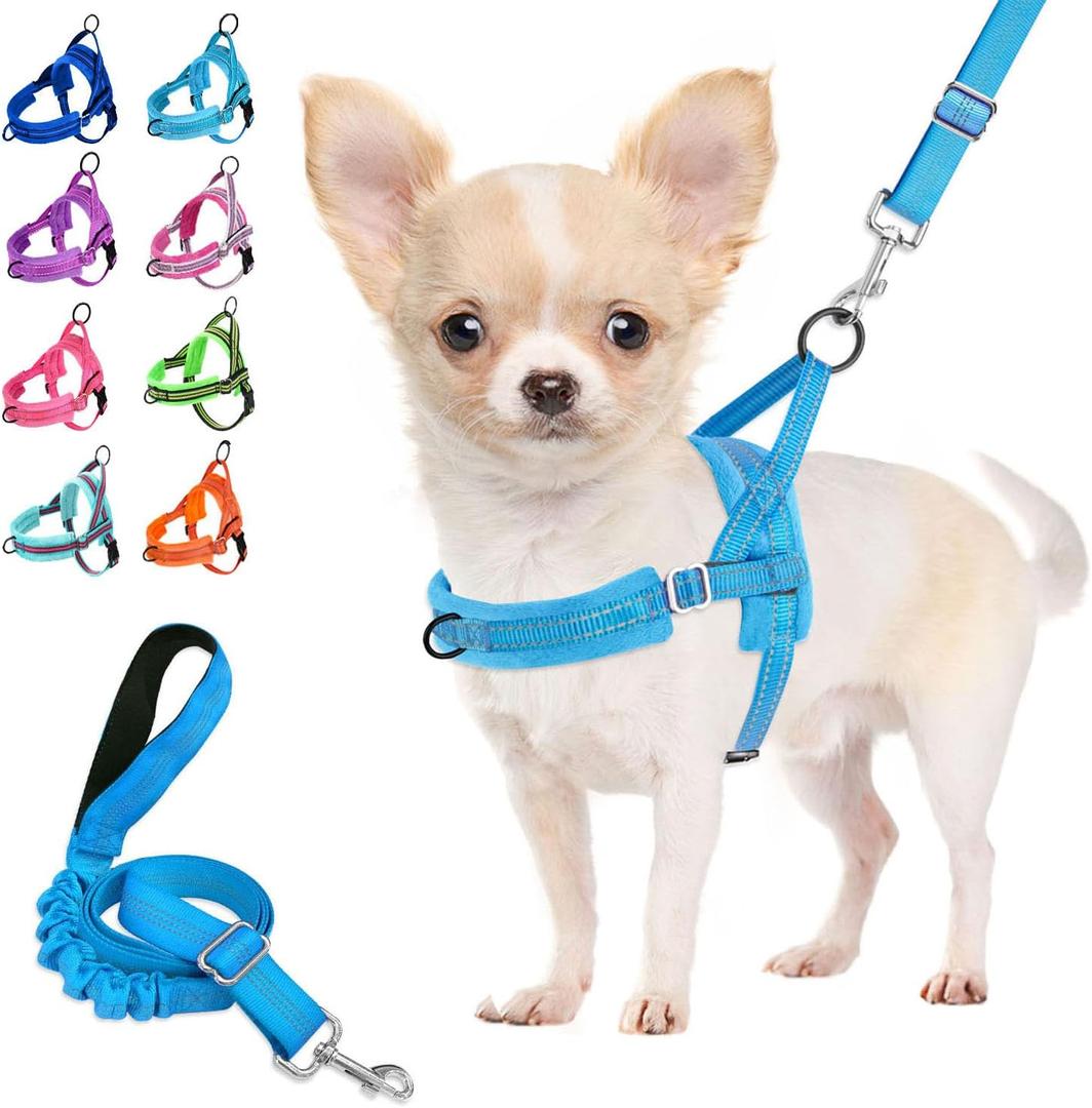 Lukovee No Pull Dog Harness and Leash Set, Soft Padded Small Dog Harness, Neck & Chest Adjustable Reflective Vest Puppy Harness with 4ft Lightweight Anti-Twist Dog Leash for Small Dogs (LBL, XXS) (XXS ( Chest 11.5'' ~ 15''))