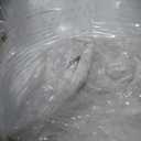 ZINUS 10 Inch Full Cooling Comfort Hybrid Mattress [New Version], Fiberglass Free, Medium Firm Feel, Motion Isolation, Certified Safe Foams & Fabric (White)