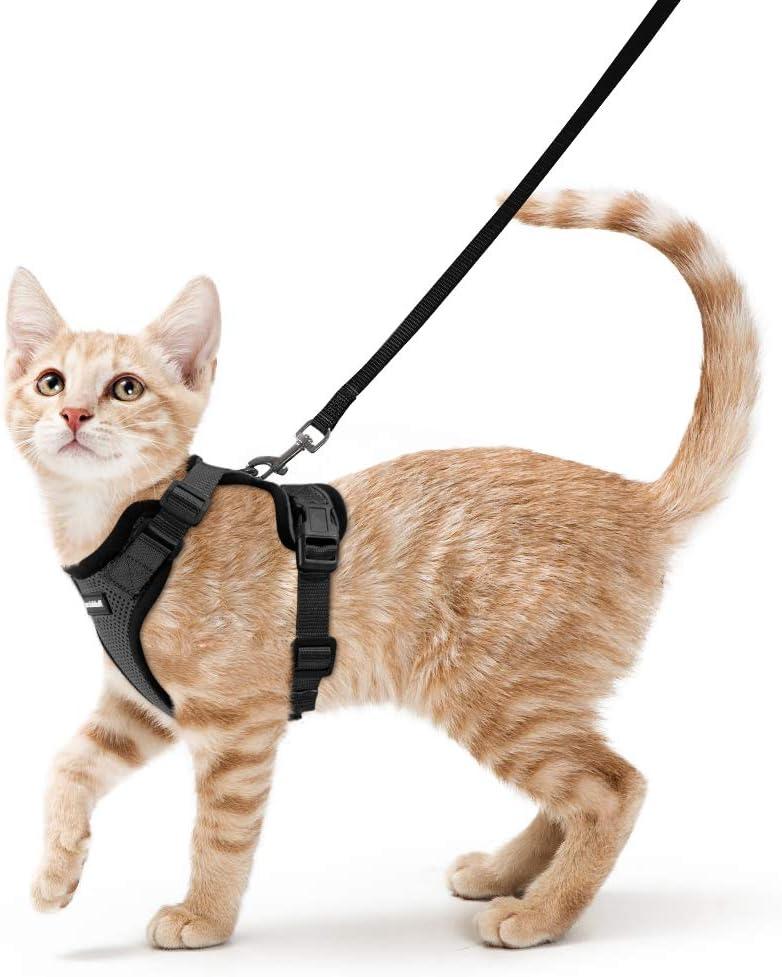 rabbitgoo Cat Harness and Leash for Walking, Escape Proof Soft Adjustable Vest Harnesses for Cats, Easy Control Breathable Reflective Strips Jacket, Black, S