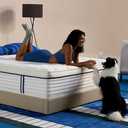 12 Inch Queen Size Mattress, Hybrid Mattress in a Box, Cooling Gel Memory Foam and Individual Pocket Springs for Pressure Relief, CertiPUR-US Certified, Medium Firm Feel