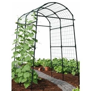 7FT Tall Stable Metal Garden Arch Trellis for Climbing Plants/Cucumber
