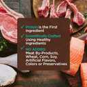 Wellness CORE Tiny Tasters Adult Wet Cat Food, Natural, Protein-Rich, Grain Free, 1.75-Ounce Pouch, 12 Pack, (Seafood & Poultry Variety Pack)