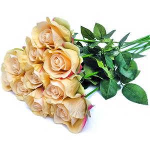 26inch Real Touch Artificial Roses - Long Stem Fake Silk Flowers with Leaves for Wedding, Home Decor, Centerpieces, Office Party, Looks Real (10,Champ)
