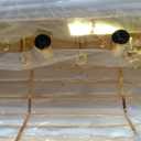 Gold Crystal Chandeliers for Dining Room，11-Lights L35.4 Inch