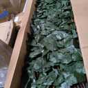 DOEWORKS Expandable Faux Ivy Trellis Fence, Patio Privacy Screen, 2 Pack