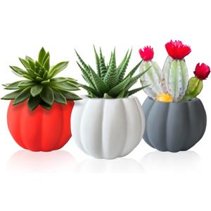 Ceramic Miniature Pumpkin Succulent Pots,Cute Halloween Decorations,Mini Pumpkin Decor Planters,Thanksgiving Decoration,Set of 3 Indoor/Outdoor Flower Pot,Fall Planter