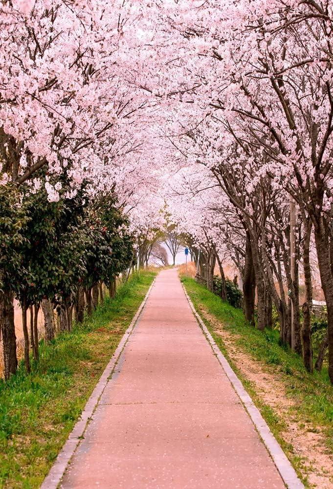 AOFOTO 5x7ft Flower Tree Backdrop Spring Cherry Blossoms Photography Background Girl Lovers Woman Lady Adult Artistic Portrait Park Path Photo Shoot Studio Props Video Drop Wallpaper Drape