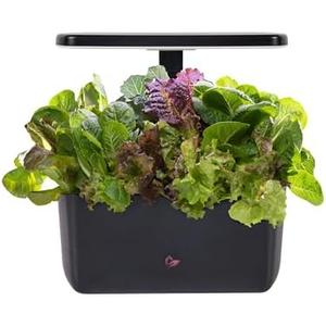 AeroGarden Harvest 2.0, Indoor Garden Hydroponic System with LED Grow Light, Holds up to 6 AeroGarden Pods, Black