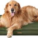 Lesure Outdoor Waterproof Dog Beds Large Sized Dog, Orthopedic Egg Crate Foam Pet Bed with Oxford Fabric Surface and Removable Washable Cover, Pet Mat 36''x27'', Green