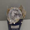 BEDELITE Velvet Fitted Sheet and Pillowcases Set, Luxury Soft Fuzzy Bottom Sheet with Reinforced Elastic Corner Straps, Deep Pocket up to 15 Inch, 1 Fitted Sheet and 2 Pillowcases (King, Grey)