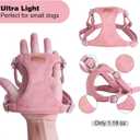 Dog Harness and Leash Set, XXS No Pull Adjustable Puppy Harness with Multifunction Pink Dog Leash and Dog Collar, Soft No Choke Escape Proof Pet Harness Vest for Small Dogs and Cats (Red, XXS) (XXS(2.2-6lb))