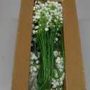 Yastouay Babys Breath Artificial Flowers, 30 Pcs White Baby Breath Flowers Artificial Bulk, Real Touch Fake Babys Breath Gypsophila for Wedding Party Bouquet Floral Arrangement Home Decor