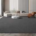 Large Modern Area Rugs for Living Room Bedroom, 5x8 Feet Dark Grey Ultra Soft Solid Thickened Memory Foam Indoor Minimalist Carpets, Non-Slip Comfy Rugs for Boys Girls Nursery Kids Room Home Dcor