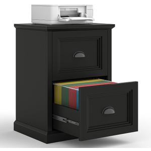 Halitaa Vertical File Cabinet, Filing Cabinet with 2 File Drawers, Farmhouse Small File Cabinet Fits Letter/A4 Size, Wooden Printer Stand, Under Desk Cabinets for Home Office, Black