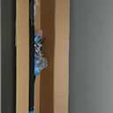 SEESII 2-in-1 Electric Pole Saws for Tree Trimming, 6 Inch Mini Chainsaw Cordless with Extension Pole, Battery Powered Pole Chain Saw, Tree Trimmer Limb Branch Cutter Pruner with 2 Battery PS600 (Blue)