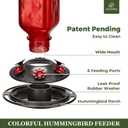 Kingsyard Glass Hummingbird Feeder for Outdoor Hanging, 24 Ounces, 6 Feeding Ports, Bird Nectar Feeder for Garden Dcor, Ant Moat Included, Red