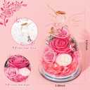 Gifts for Women Preserved Rose Forever Flower in Glass Angel Figurines Fresh Flowers for Delivery Prime Mothers Day Birthday Gifts for Mom Real Pink Roses for Grandma Sister Wife Her from Daughter