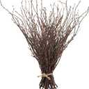 Uieke 50PCS Birch Twigs  17 Inch Natural Dried Plants Decorative Birch Branches for DIY Crafts, Birch Sticks for Vases Wedding Arrangements Home Wreath Decor