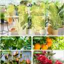 Grow Lights for Indoor Plants Full Spectrum,15-62 Inches Height Adjustable Desktop and Standing Plant Growing Lights with Detachable Tripod Stand for Large and Small Plants, Auto On/Off Timer