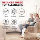 Honeywell Allergen Plus Compact Small Room HEPA Air Purifiers