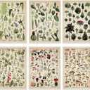 Fainne Set of 6 Plant Poster Vintage Botanical Prints 12 x 16 Inch linen Decorative Wrap Poster Tree Art Picture Vintage Mushroom Floral Nature Decor Cactus Prints