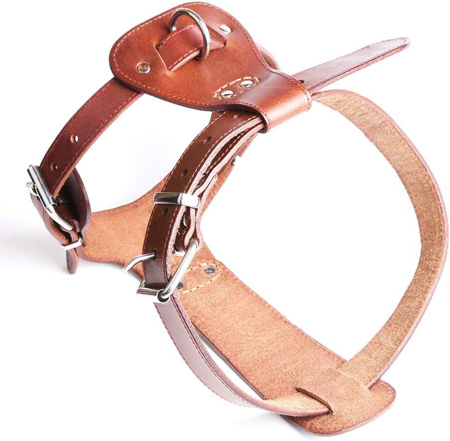 Leather Dog Harness No Pull Design Genuine Leather Durable Strong Pet Harness with Adjustable Straps Easy Control Pet Vest (XL) (XL:27" - 31" Chest)