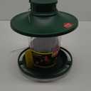 More Birds Large Lantern Bird Feeder, Lantern-Style Wild Bird Feeder, 5 Feeding Ports, 3.8-Pound Seed Capacity, Green