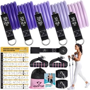 Resistance Bands with Handles for Women, 5 Level Exercise Bands Workout Bands for Physical Therapy, Yoga, Pilates, Door Anchor, Storage Pouch (30 LBS Purple)