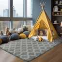 Puremy Shag Area Rug 5x7 Feet Extra Soft Rugs for Living Room, High Pile Indoor Carpet for Bedroom, Kids Room, Nursery, Home Decor, Geometric, Light Grey/White