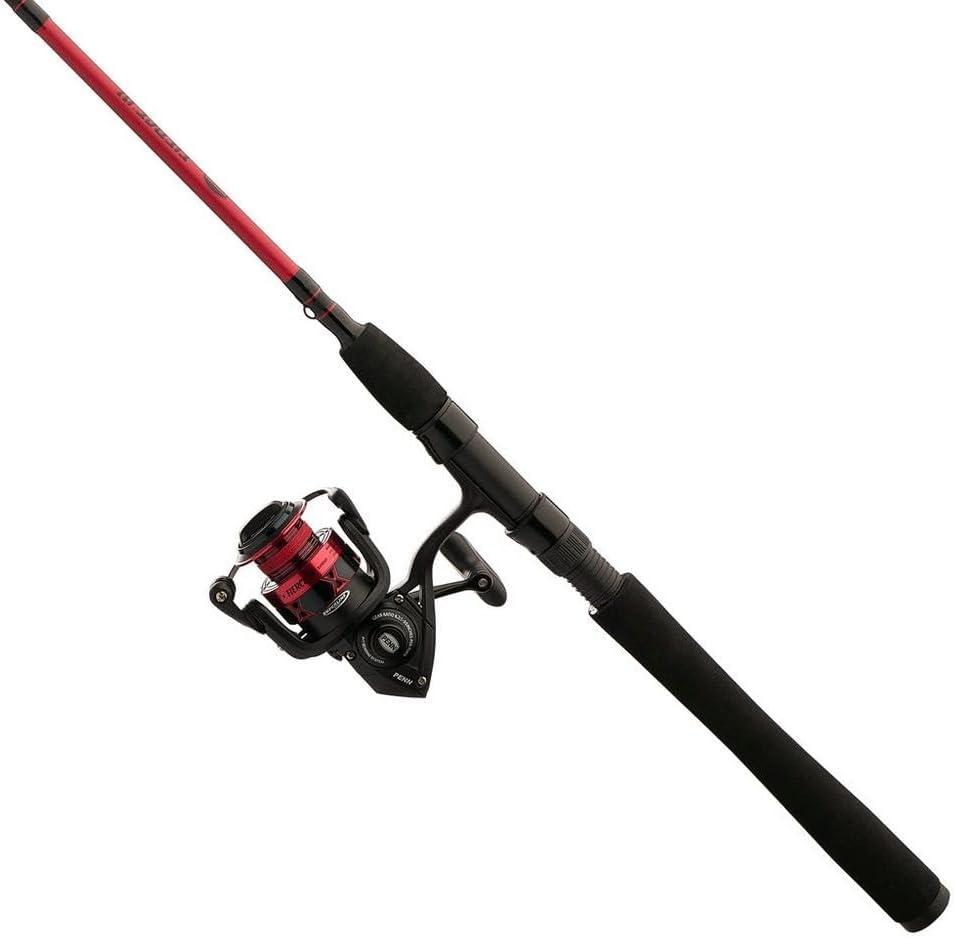 Penn Fierce IV Spinning Reel and Fishing Rod Combo, 6000 Size Reel - 9' - Medium Heavy - 2pc