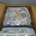 Tommy Bahama - Queen Comforter Set, Tropical 5-Piece Cotton Bedding with Matching Shams & Bonus Throw Pillows, Contemporary Home Decor (Raw Coast Green, Queen)