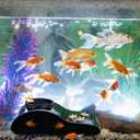 AceOrbit 1 Pcs Aquarium Underground Tunnel Cave with Natural Curve Hole, Fish Tank Decoration Hideout for Viewing Fish, Under Tunnel for Corydora Catfish, Kuhli Loach, Pleco and Shrimps