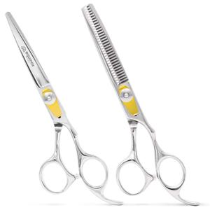 Equinox Professional Hair Scissors Set - Includes Barber Scissors & Thinning Shears for Hair Cutting & Grooming, Premium Japanese Stainless Steel Hair Cutting Scissors, Barber Accessories & Hair Tools (Silver)