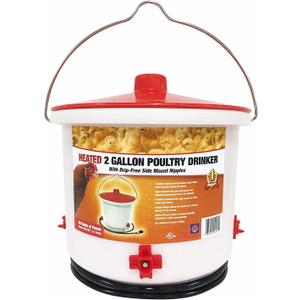Farm Innovators Heated Chicken Waterer, Poultry Drinker Bucket, 2 Gallon