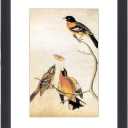 3x4 Picture Frame, Black Metal Photo Frames with HD Glass, Fits 2x3 with Mat or 3 x 4 without Mat, Display for Wall and Table, 1 Pack