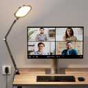 LitONES Video Conference Lighting for Computer, Webcam,Video Recording