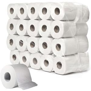 Toilet Paper Rolls, Last Longer Dissolves Faster 1-Ply, 1000 Sheets Per Roll, 32 Count