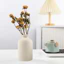 Beige Ceramic Vase, Dry Flower Vases Minimalism Style for Modern Table Shelf Home Decor, Fit for Fireplace Bedroom Kitchen Living Room Centerpieces Office Desk Best Decoration(Beige)