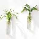 Mkono Propagation Station Wall Planter Hanging Glass Tubes Flower Vase for Hydroponics Plants, Bathroom, Home Office Living Room Decor Gift, Cylinder Set of 2(Plants not Included)
