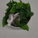 Fake Hanging Plants with Lights Artificial Plants for Home Decor Macrame Plant Hanger with Fake Vines Faux Hanging Planter for Wall Ceiling Bedroom Bathroom Kitchen Office Boho Decor Indoor (Fake Plants + LED Lights)