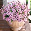 Artificial Flowers for Outdoor Indoor Garden Home Decoration, Faux Flower Daisy with Eucalyptus Leaves Fake Plants Greenery Boxwood Porch Patio, 12 Bundles (Pink)