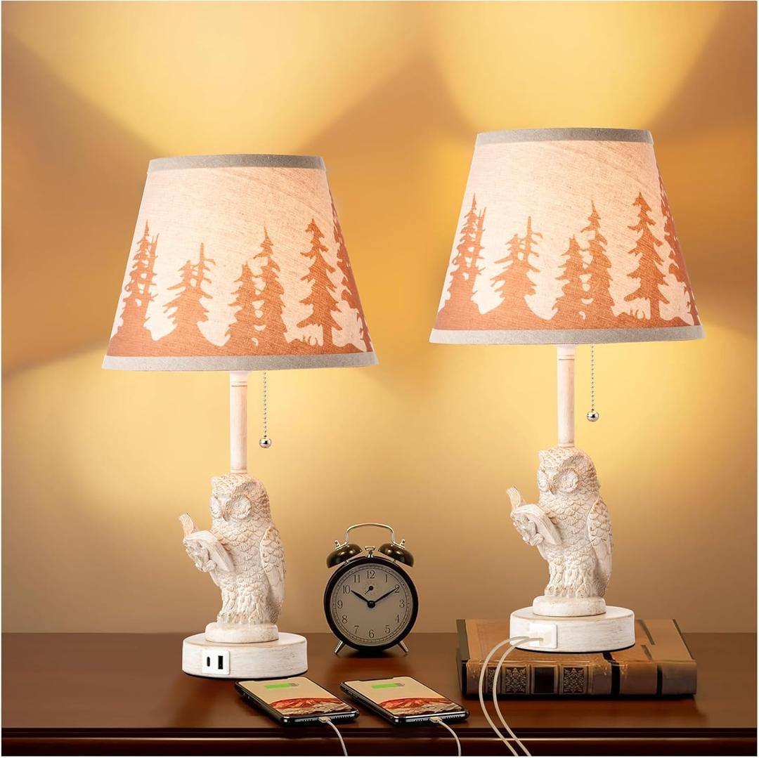 18.9" Farmhouse Lamps Set of 2,Owl White Rustic Table Lamps for Living Room with USB A+C Port,Vintage Resin Small Table Lamps,Pull Chain Table Lamp for Bedroom,Bedside,Nightstand,End Table