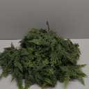 6 FT Christmas Garland, Cedar Garland -Realistic Artificial Christmas Garlands for Indoor and Outdoor Decor, Fireplace, Mantle, Doorway, Wreath-Green Faux Pine Garland for Christmas Decorations