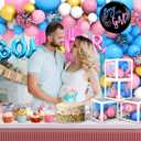 191pcs Pink Blue Gender Reveal Decorations, Boy or Girl Gender Reveal with Balloon Arch Kit, Baby Boxes, Fringe Curtains, Photo Props, Cake Copper